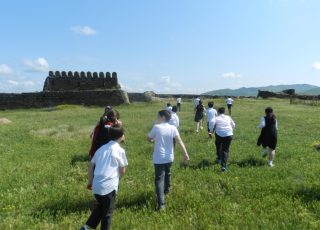 DSCN0830