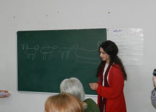 DSCN5241