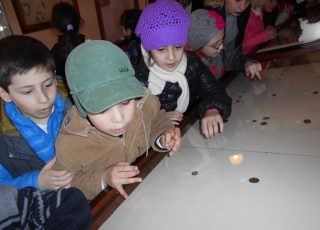 DSCN0344